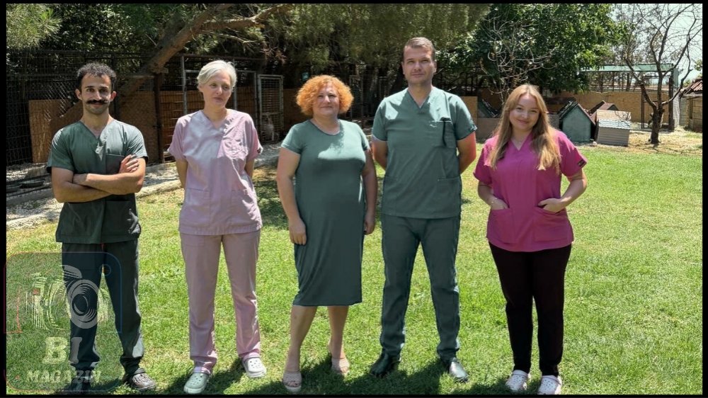 Felçli, Yaşlı Ve Ağır Hasta Hayvanlar İçin ENCANDER...