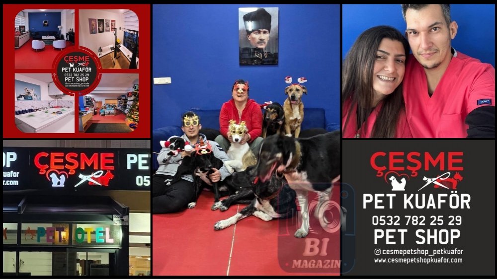 Çeşme Pet Kuaför Fark Yarattı: Hem İşletme Hem Sosyal Sorumluluk Projesi...