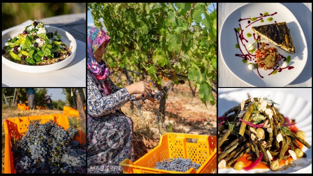Arcadia Bağları’nda Bağbozumu Lezzetleri Sofraya Taşınıyor...