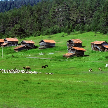 Karadeniz Yaylaları ve Kanyonlarını JOLLY ile Keşfedin...